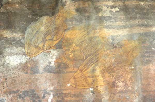 PetroglyphAustraliaFish