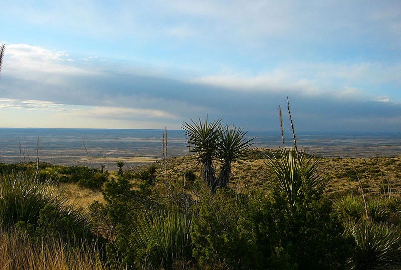 CarlsbadCavernsEntrance